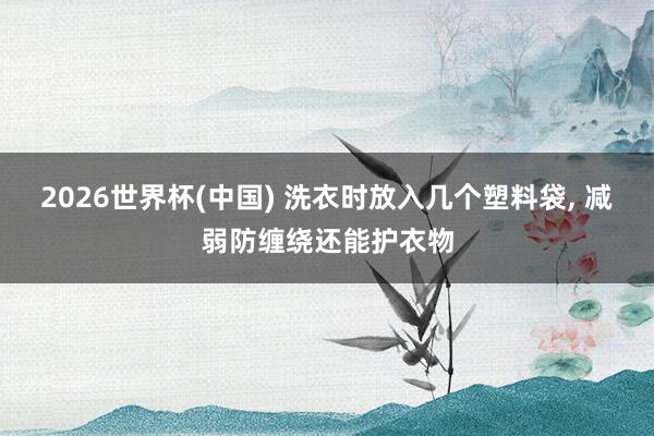 2026世界杯(中國) 洗衣時(shí)放入幾個塑料袋， 減弱防纏繞還能護(hù)衣物