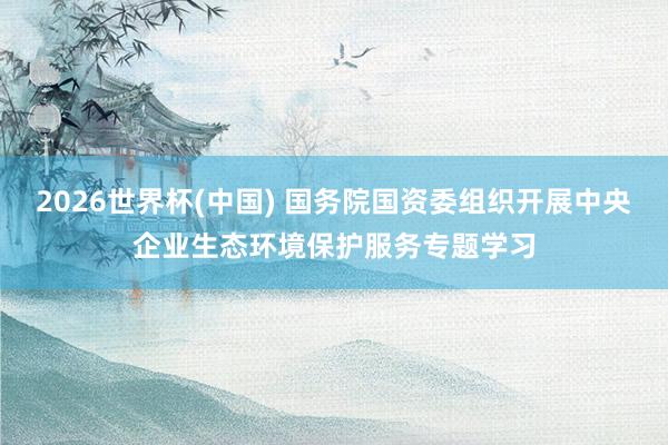 2026世界杯(中國) 國務(wù)院國資委組織開展中央企業(yè)生態(tài)環(huán)境保護(hù)服務(wù)專題學(xué)習(xí)
