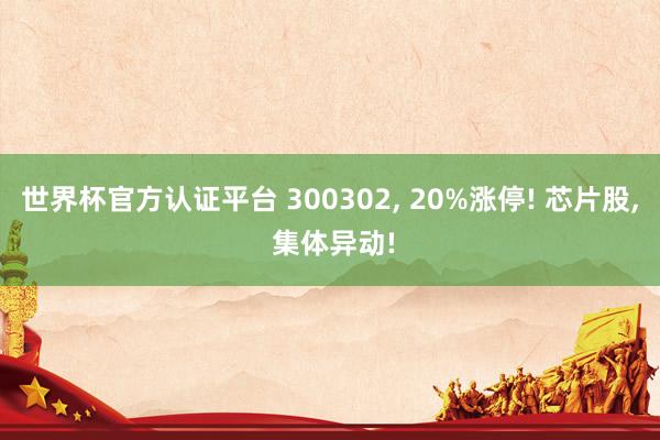 世界杯官方認(rèn)證平臺(tái) 300302， 20%漲停! 芯片股， 集體異動(dòng)!