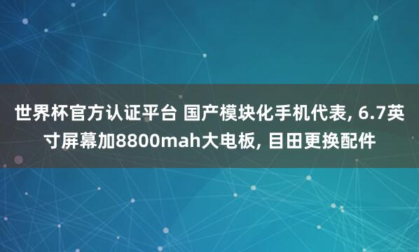 世界杯官方認證平臺 國產模塊化手機代表， 6.7英寸屏幕加8800mah大電板， 目田更換配件