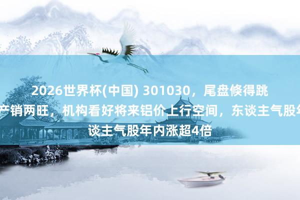 2026世界杯(中國) 301030,尾盤倏得跳水!鋁加工產銷兩旺,機構看好將來鋁價上行空間,東談主氣股年內漲超4倍