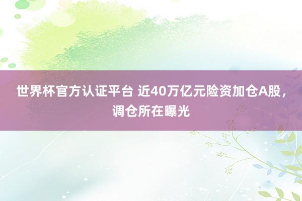 世界杯官方認(rèn)證平臺(tái) 近40萬億元險(xiǎn)資加倉A股,調(diào)倉所在曝光