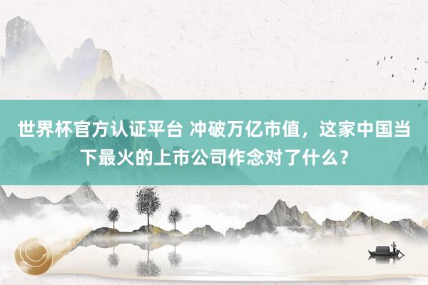 世界杯官方認(rèn)證平臺(tái) 沖破萬億市值，這家中國(guó)當(dāng)下最火的上市公司作念對(duì)了什么？
