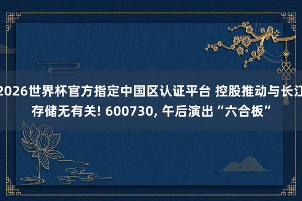 2026世界杯官方指定中國區認證平臺 控股推動與長江存儲無有關! 600730， 午后演出“六合板”
