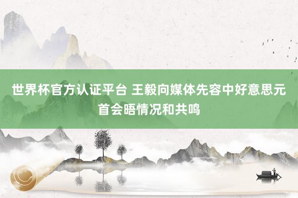 世界杯官方認(rèn)證平臺 王毅向媒體先容中好意思元首會晤情況和共鳴