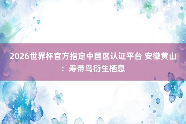 2026世界杯官方指定中國(guó)區(qū)認(rèn)證平臺(tái) 安徽黃山：壽帶鳥衍生棲息