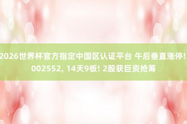 2026世界杯官方指定中國(guó)區(qū)認(rèn)證平臺(tái) 午后垂直漲停! 002552， 14天9板! 2股獲巨資搶籌