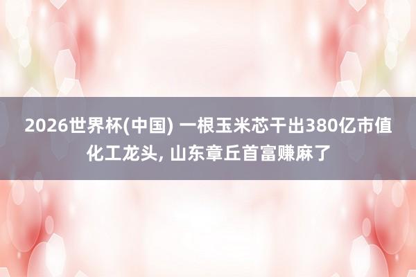 2026世界杯(中國) 一根玉米芯干出380億市值化工龍頭， 山東章丘首富賺麻了